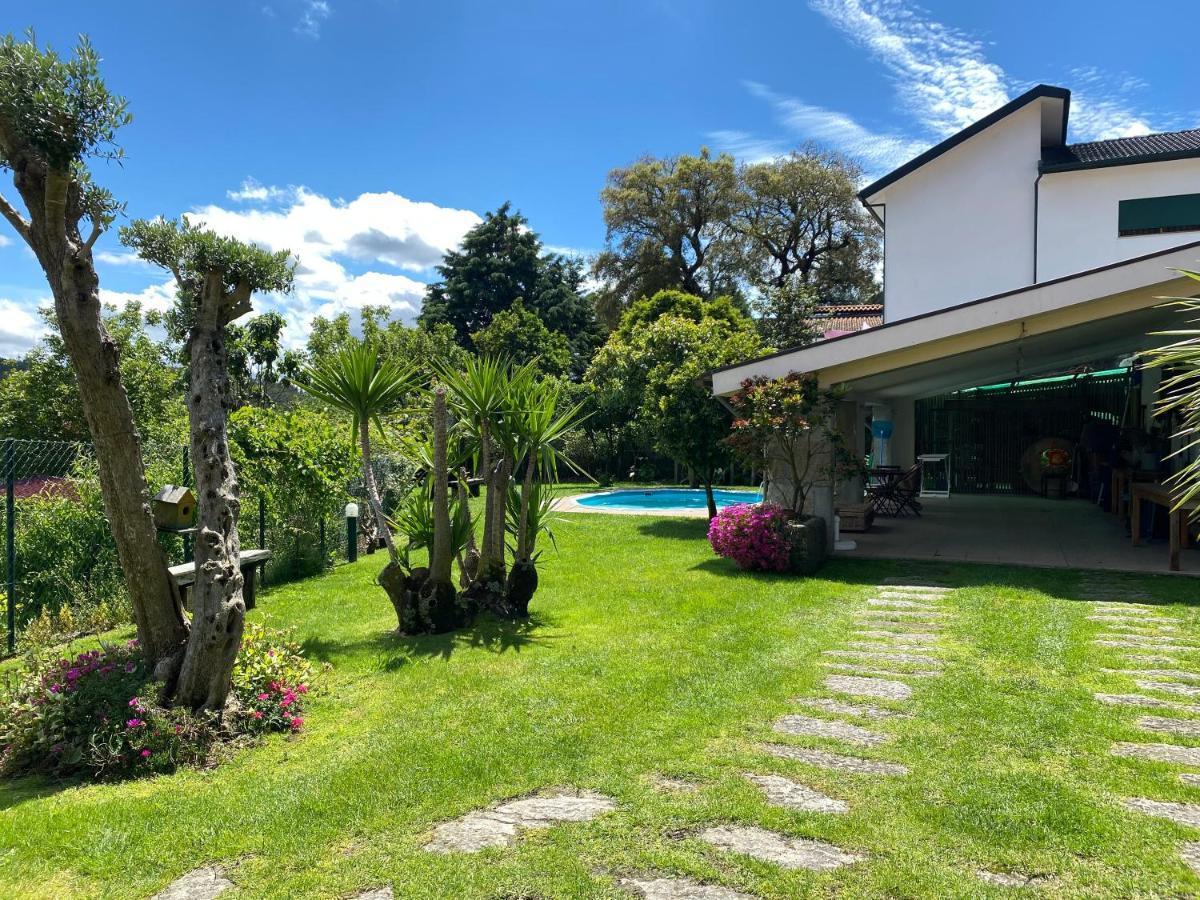 הוילה Paço de Sousa Olival House מראה חיצוני תמונה